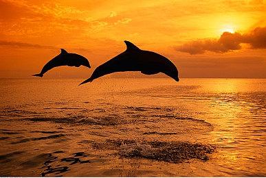 IGN评选PS史上最佳游戏TOP100位：80-61名