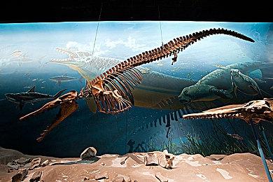 《战场女武神》加入任天堂试玩同乐会 7月5日免费玩